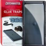 Catchmaster glue traps
