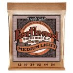 Ernie Ball Earthwood strings