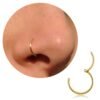 Generic Titanium Nose Ring Hoop Review 2026: Must-Know Before You Buy Titanium Nose Ring Hoop