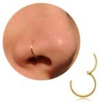 Generic Titanium Nose Ring Hoop Review 2026: Must-Know Before You Buy Titanium Nose Ring Hoop