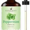 Handcraft Blends Peppermint Essential Oil