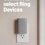 Ring Chime Plus
