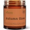 Wickless Fall Candles
